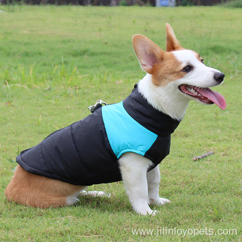 Wear Resistant Black And Blue Pet Clothing